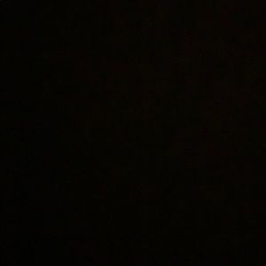 Meet your Posher, Charlotte